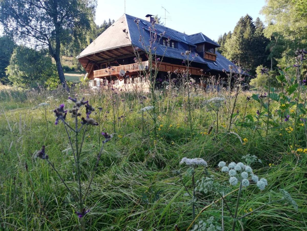 Der Schmidthof Apartment Todtmoos